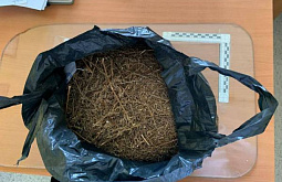 � ������� ��������� �������� ������� ������� � ������� �������