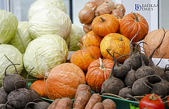 � ���� ������� �������� ���������� ����� 