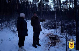 � ���������� ������ ��������� ������� ����� 50 ���������� � ��������