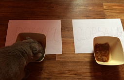 ��� �� ������� ���������� ������ ������ ��� ���������