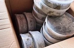 �� ����� � ��������� ������� ������ ����������� ������ ������ ����