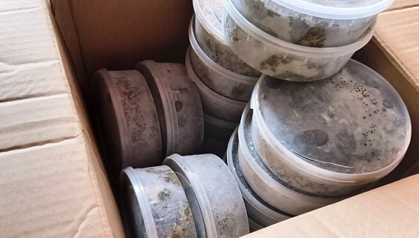 �� ����� � ��������� ������� ������ ����������� ������ ������ ����