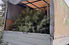 � ����-��� ������ ����� ���� ����� � ������ ������� 