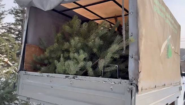 � ����-��� ������ ����� ���� ����� � ������ ������� 