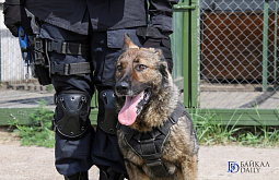 �� �����: ��� ������ ������ ���������� �������