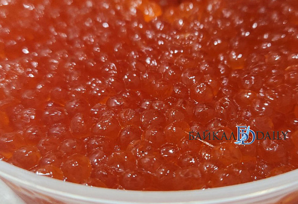 ����-������ ������ �� �������� ������� ���� � �������