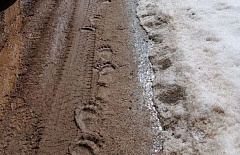 � ��������� ���������� ���������������� �������