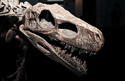 � ������� ����� ����� ��� ���������� ���������� 