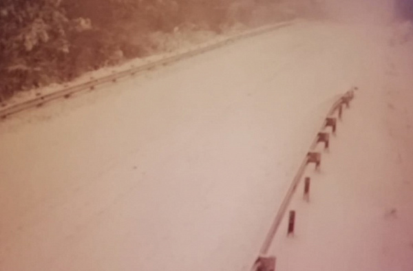 � ������� ��������� ������ �� �����