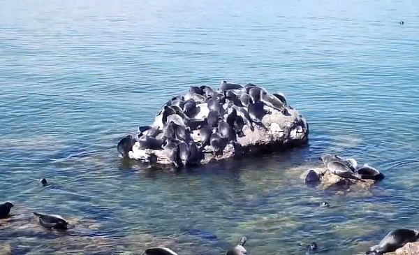 � ������� �������� �������� ���� ������ ����� �� ������� 