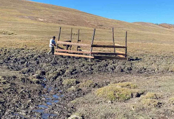 ����� ������ ������� ���������� �����