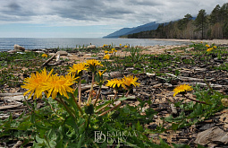 � �������� � ������� �������� ������ ������ �� 160 ���������