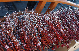 ���: ������� ����������� � ������� ������ ��� ����������