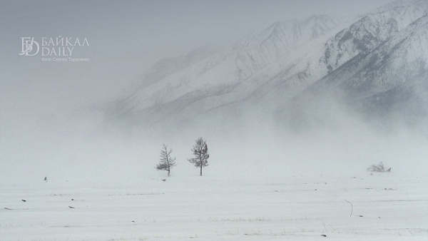 ��������� ������� � �������� ������� ��������� ����� � ������