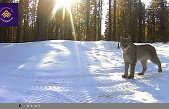 ����������� � ������� �������� ����������� ����� ����