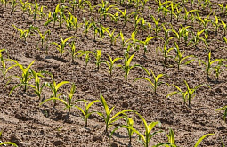 � ������� �������� ��� �������� ����� ������������ ����� ��� ������ ������ 