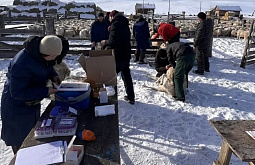 � ������� ������� �������� ����