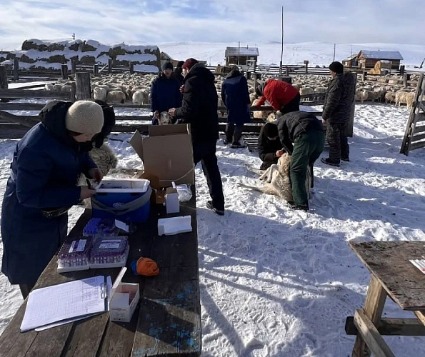 � ������� ������� �������� ����