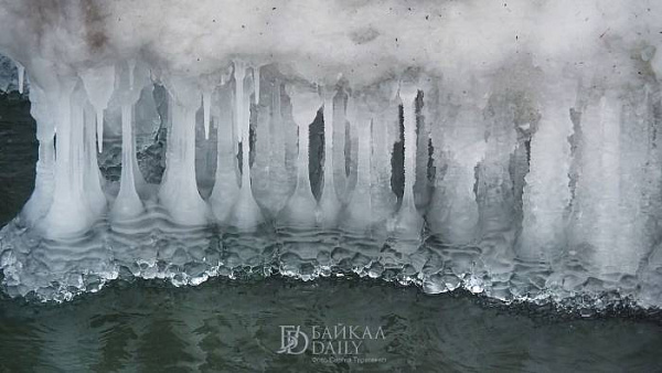 � ������� ���������� �������� ��������� ���������� ������� �������