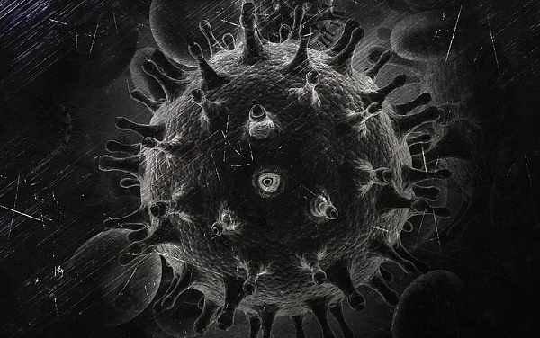 ���������, ���������� ������� ���, �� ���� ���������� ��������