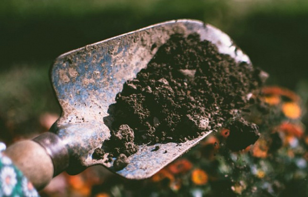 � ������� �� �������������� ���������� ���������� �������