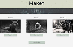 ������� ��� ����������� �������� � ��������� ��������� ������� �������� � ������� 