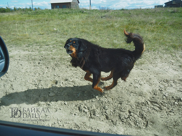 � ��������� ������� ��������� ��������� �������� ��� �������� �����