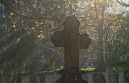 ���������� � ��������� ������� �������� ��������� 