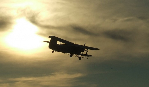 ������� ���������� � ������� ������� ������� ������������ 