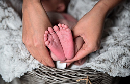 ������� ���������� �� ����-������