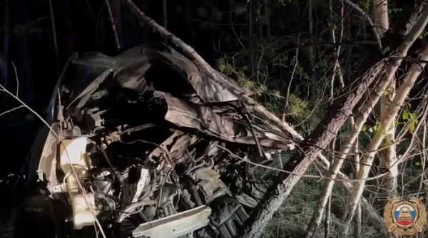 � ��� ��� ��������� ������� ���������� Honda Fit Shuttle