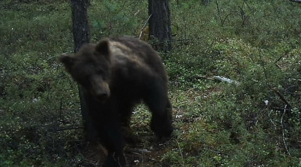 � ������� ������� ��������� �� �������� ���������