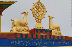 � ������� �������� ������������ ���� ��� �� �������� ������