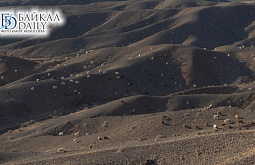 � �������� �������� ��������� ����� ����� ��� ������ �����