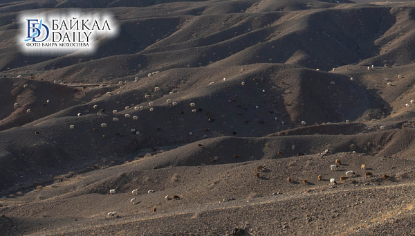 � �������� �������� ��������� ����� ����� ��� ������ �����