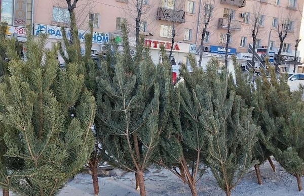 � ������� ����� ���� ������������ �������� � 20-� ������ �������