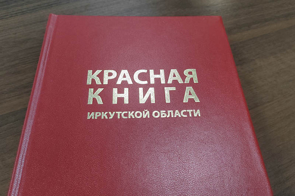 � ��������� ������� �������� ������ ���� �������� � ��������