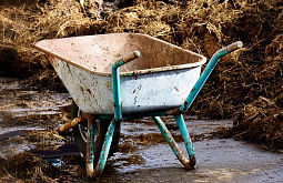 � ��������� ������� ����������� ������� ����� ������� ��� �����