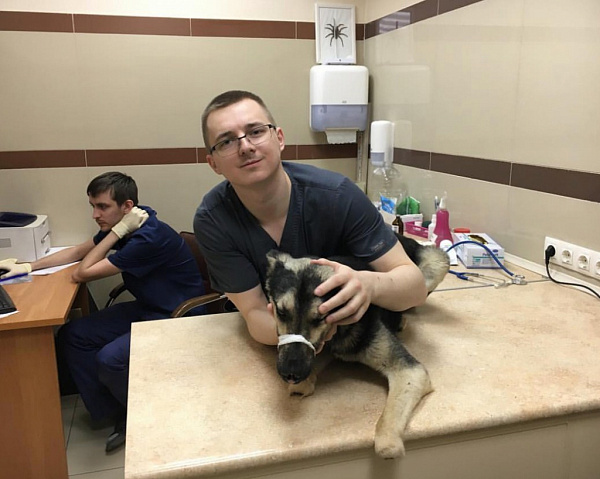 ������������ �������� ��� �� ������� ������� � ���������  