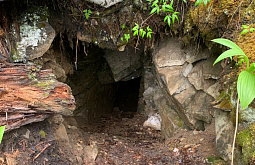 �������� ���� ���������� ������ � ������ ���������� � ��������� �������