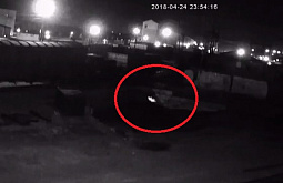 � ����-��� ������� ����������� ���������� ��������� ���� (�����) 