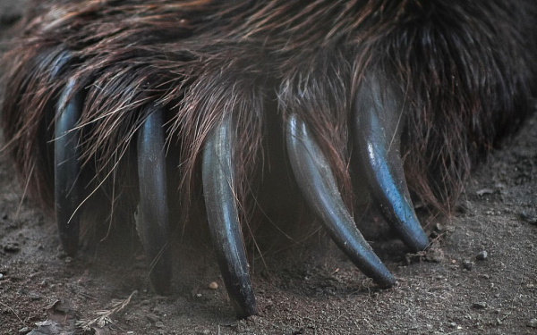 � ������� ��������� ���� ������� ���� ��� ��� 