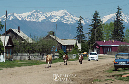 � ������� �������� ������������ �� ��������������� �� ���� �� ������� 