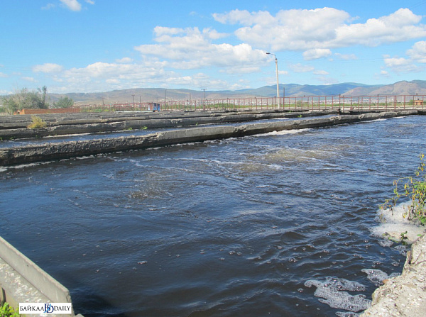 �� ������������� �������� ����-��� ������� �������� 328 ��������� 