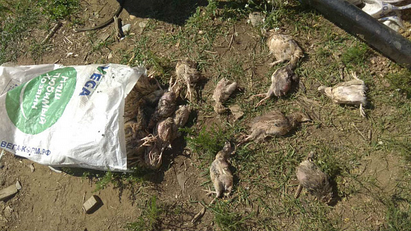 � ��������� ����������� ����� � ������� ������� ����� 500 ���� 