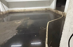 ����������� � ����-��� ������ ���������