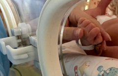 ��� ������: � ����-��� ����������� ���� �������� ����� 