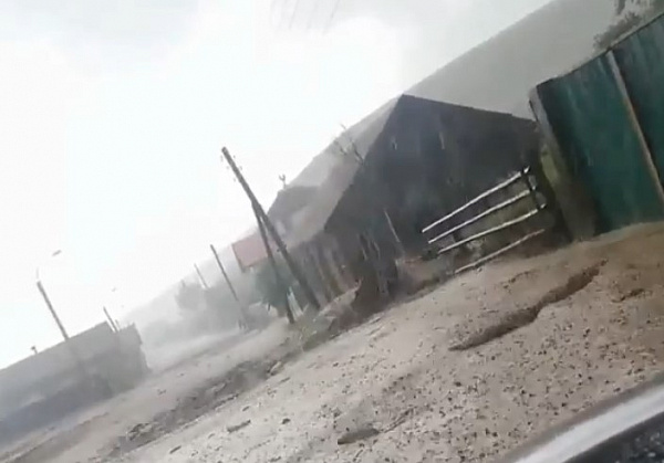 � ���� ������� ����� �������� ����� �������� �����