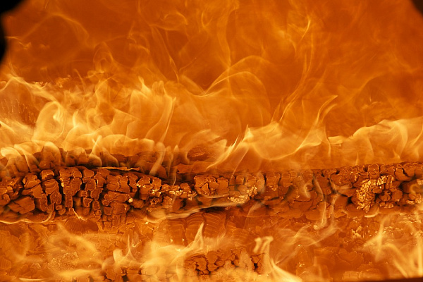 � ����-��� ������ ��� ����