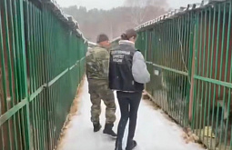 В иркутском питомнике провели обыски после нападений собак на людей